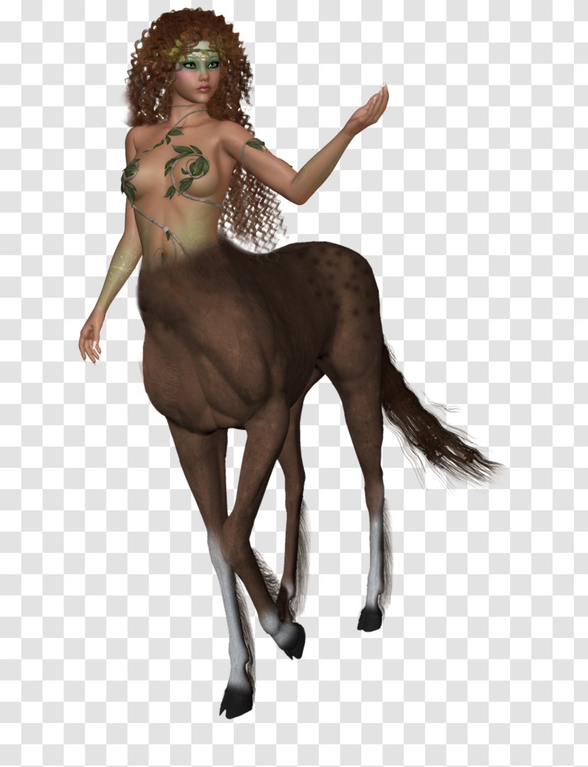 Centaurides Greek Mythology Clip Art - Horse Like Mammal - Female Centaur Transparent Images Transparent PNG