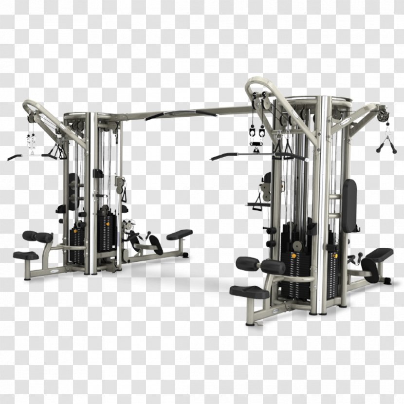 Exercise Equipment Fitness Centre Physical Row - Professional - Gym Transparent PNG