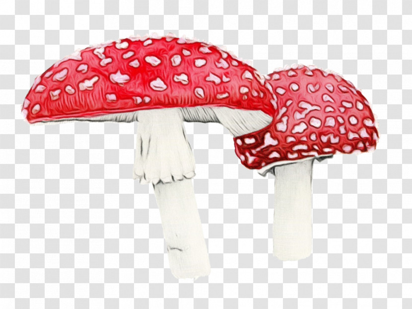 Red Mushroom Pink Agaric Umbrella Transparent PNG