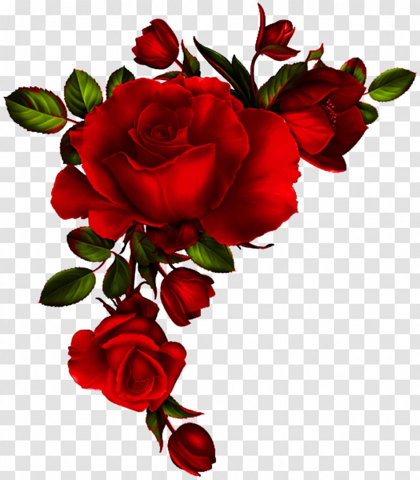 Clip Art Rose Floral Design Image - Red Transparent PNG