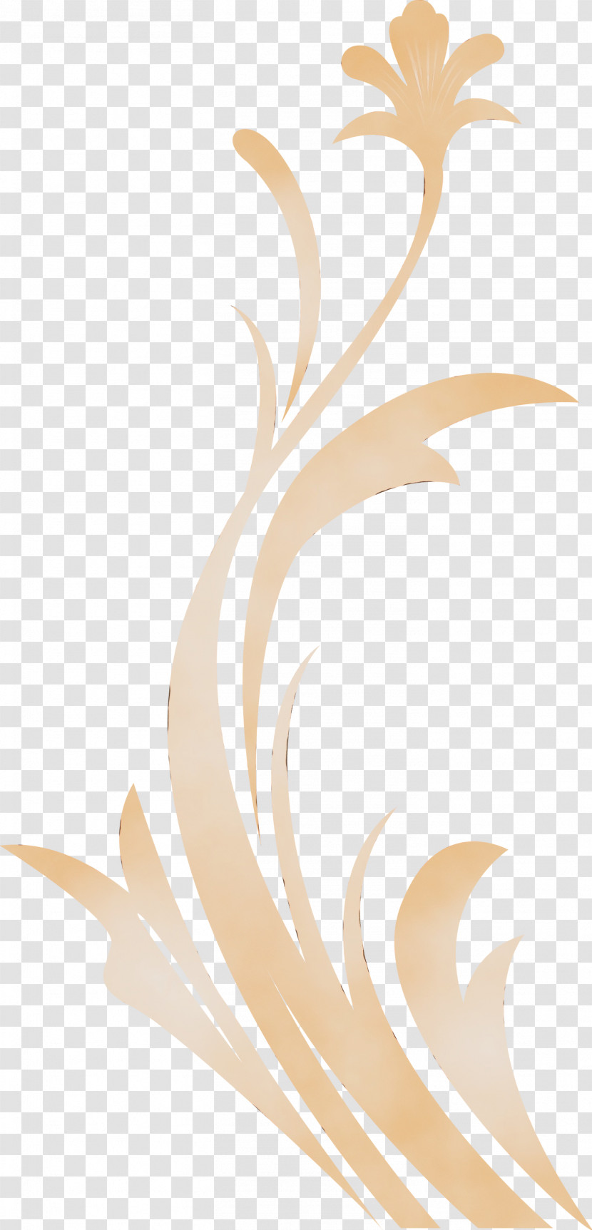 Brown Beige Plant Transparent PNG