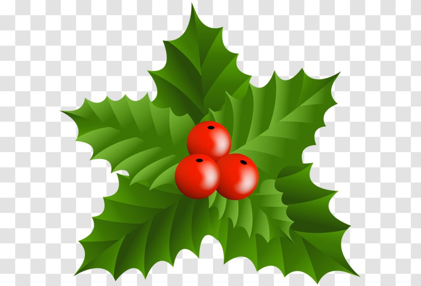 Cobourg Collegiate Institute Thumbnail 2018-02-07 Mistletoe - Christmas Transparent PNG
