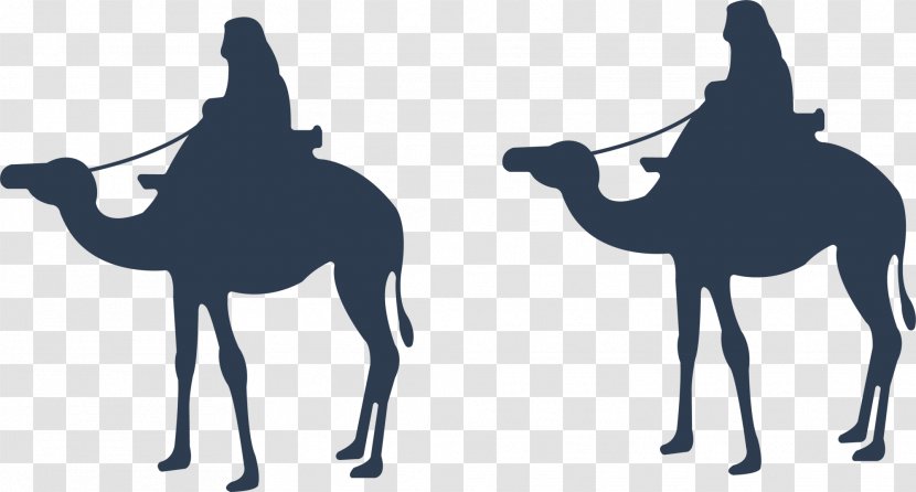 Dromedary Cartoon Eid Al-Adha - Vertebrate - Purple Camel Transparent PNG