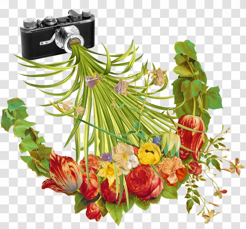 Photography Camera Flower Illustration - Petal - Shoot Flowers Pattern Transparent PNG