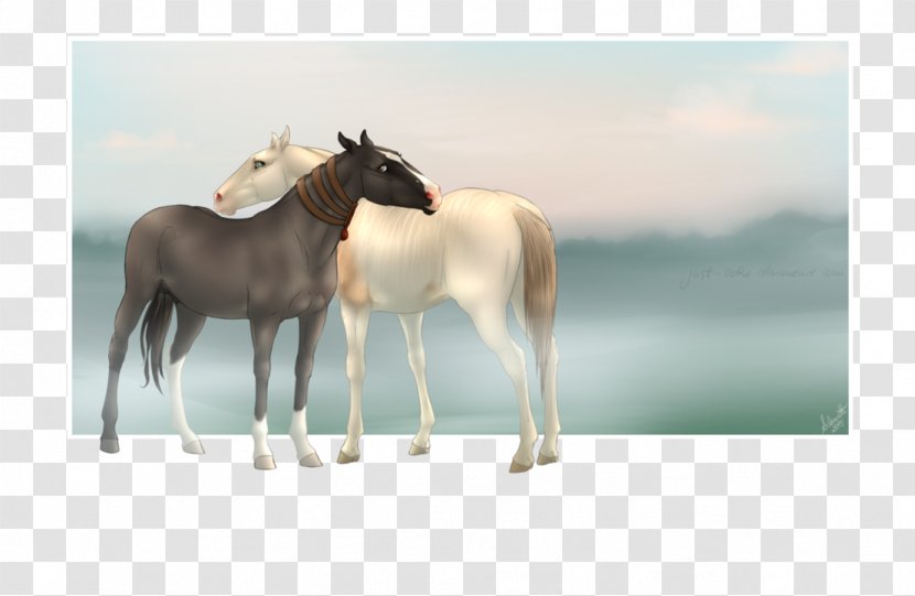 Mustang Stallion Foal Mare Colt - Fauna - Fair And Just Transparent PNG