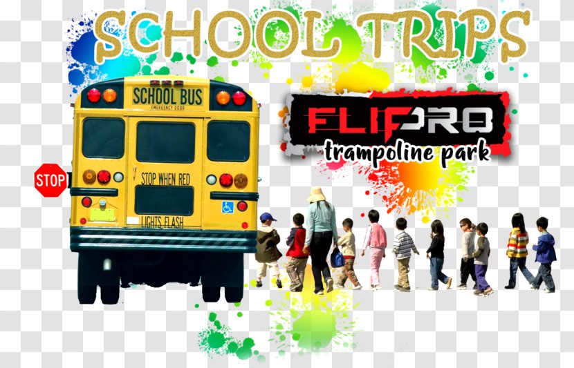 Lauderdale County Schools Letterhead Education Template - Advertising - Ball Foam Pit Transparent PNG