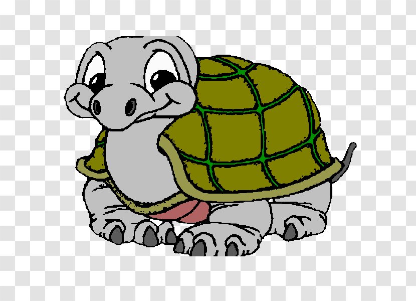 Tortoise Sea Turtle Coloring Book Drawing - Tree Transparent PNG