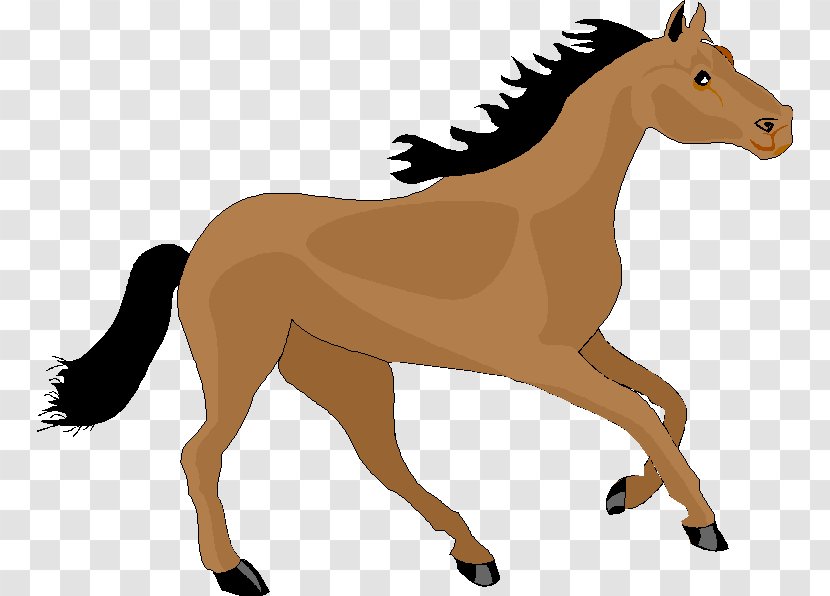 Mustang Foal Pony Stallion Clip Art - Donkey Transparent PNG