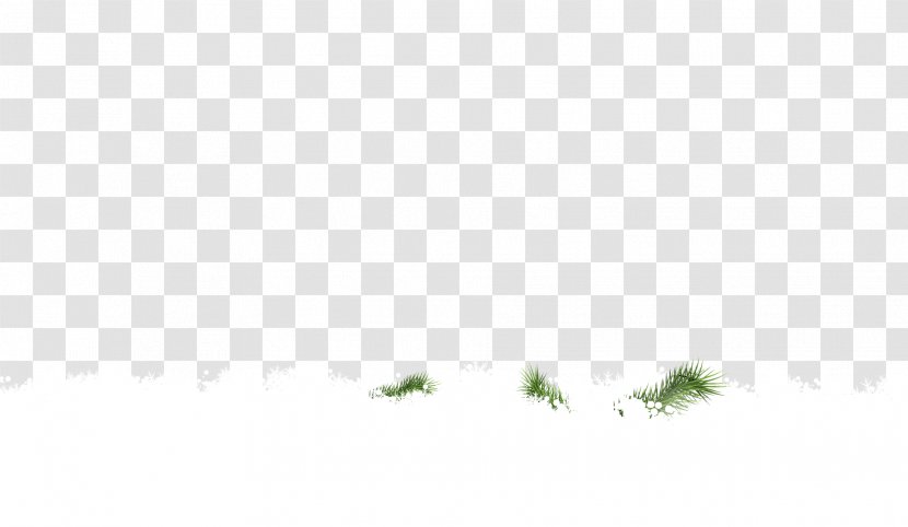 Tree Leaf Desktop Wallpaper Sky Plant - Snow Transparent PNG