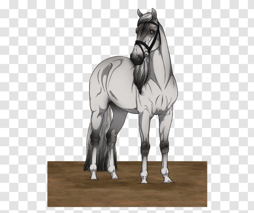 Mare Stallion Bridle English Riding Pony - Horse Harnesses - Mustang Transparent PNG