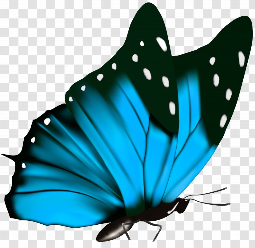 Butterfly Green Clip Art - Monarch - Clipart Image Transparent PNG