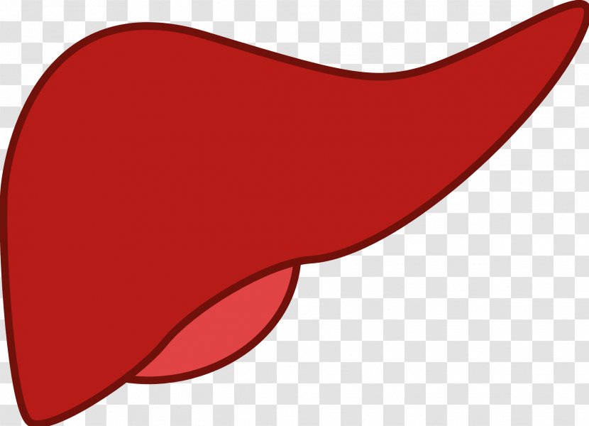Non-alcoholic Fatty Liver Disease Clip Art - Silhouette - Kidney Transparent PNG