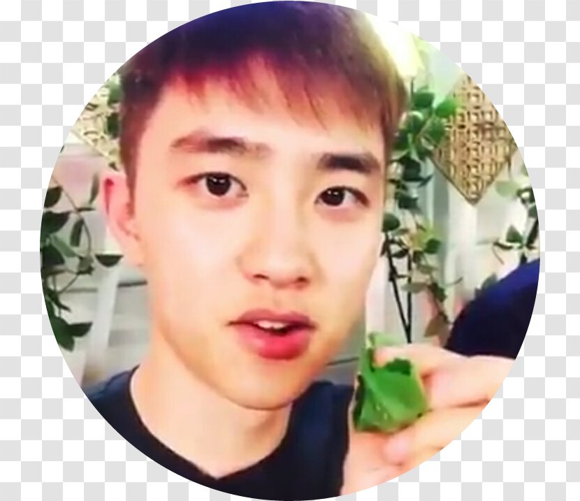 Do Kyung-soo Exo Planet #2 – The Exo'luxion Actor EXO-K - Cheek Transparent PNG