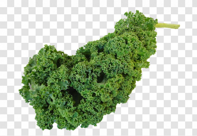 Kale Gravy Vegetarian Cuisine Food Vegetable - Juicer - Bok Choy Transparent PNG