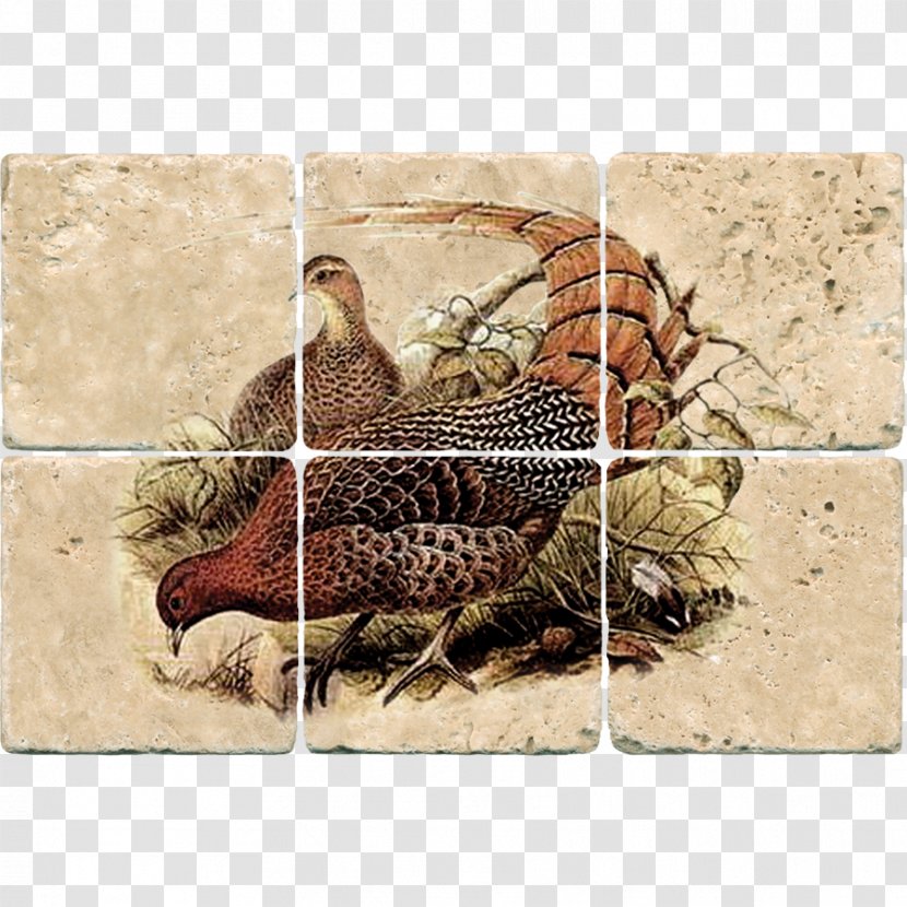 Mural Tile Work Of Art Rooster Fruit - Pheasant Transparent PNG