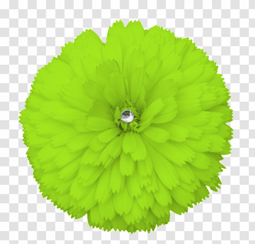 Flower Green Yellow Clip Art - Flowers Transparent PNG