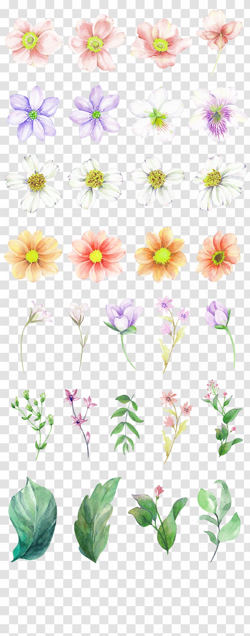 Watercolor Painting Drawing Download - Gratis - White Dream Garden Flowers Decorative Patterns Transparent PNG