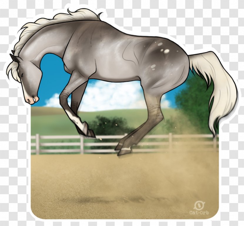Mane Foal Mustang Mare Rein - Bridle - Horseshoe Wind Chimes Transparent PNG