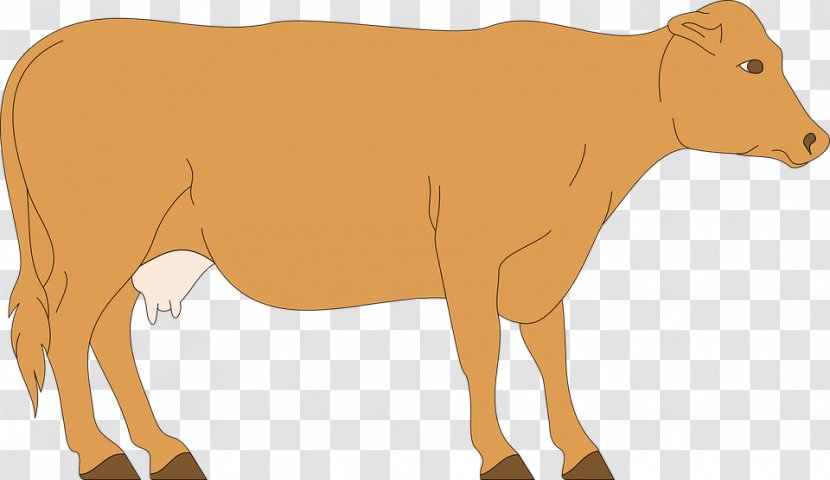 Clip Art Cattle Openclipart Drawing Vector Graphics - Snout - Dairy Cow Transparent PNG