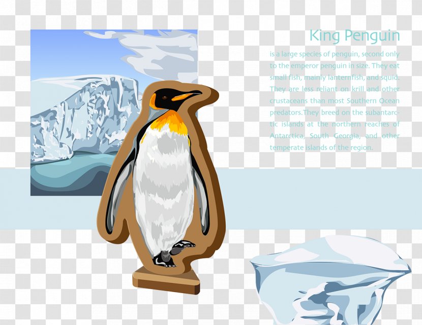 Penguin Brand Transparent PNG