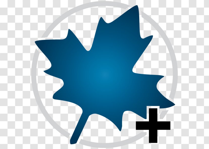 MapleSim Computer Software Mathematics Engineering - Programming - Maple Clipart Transparent PNG