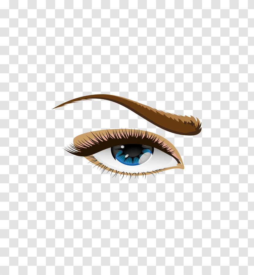 Human Eye Eyebrow Clip Art - Eyelash - Rolls Transparent PNG