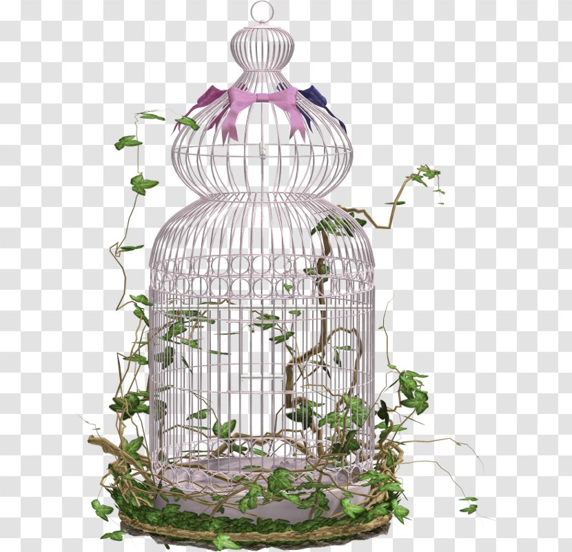 Birdcage Download Clip Art Transparent PNG