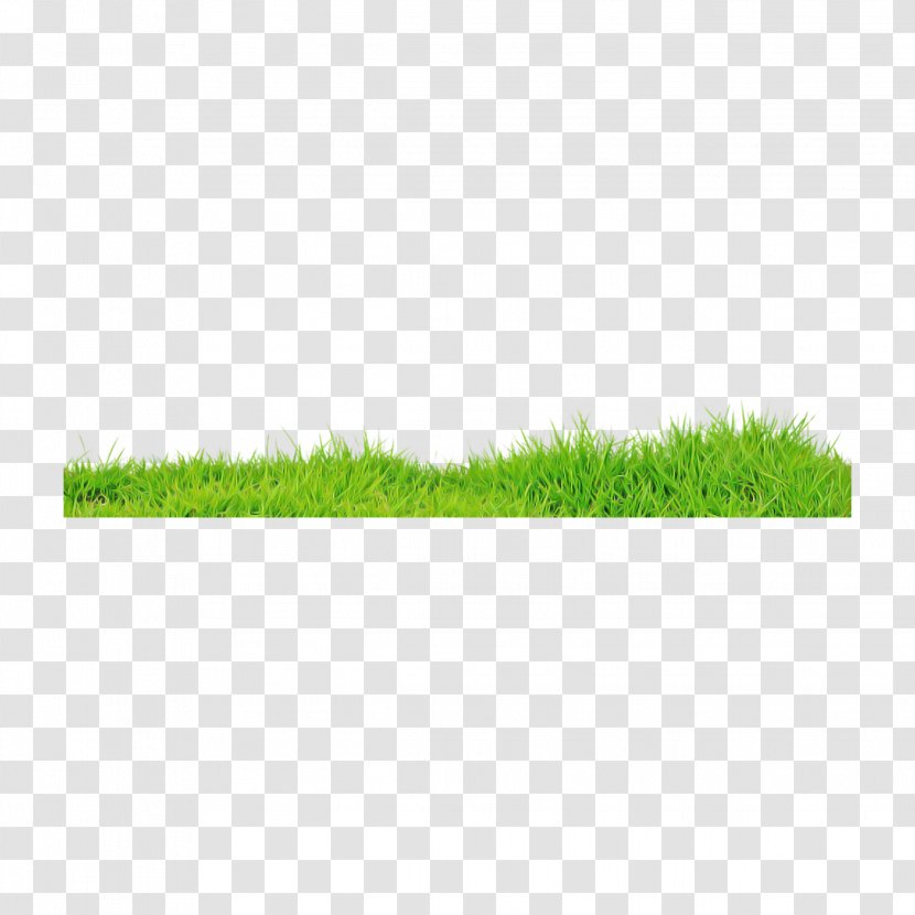 Green Grass Lawn Plant Family - Artificial Turf Rectangle Transparent PNG
