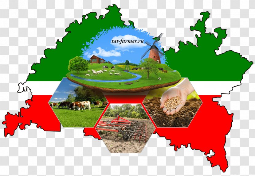 Tatarstan Republics Of Russia Mari El Map - Flag Transparent PNG