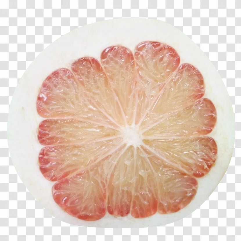Grapefruit Pomelo Juice Tea Vegetarian Cuisine - Cartoon - Red Section Transparent PNG