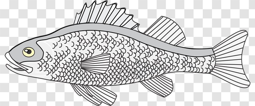 Line Art /m/02csf Drawing Red Deer - Seafood - Peces Transparent PNG