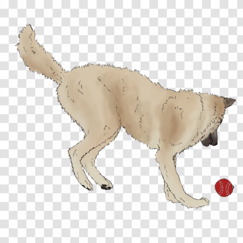 Dog Breed Lion Puppy Retriever Cat - Tail - Playing Ball Transparent PNG