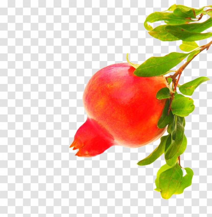 Barbados Cherry Pomegranate Stock Photography - Still Life - Red Transparent PNG