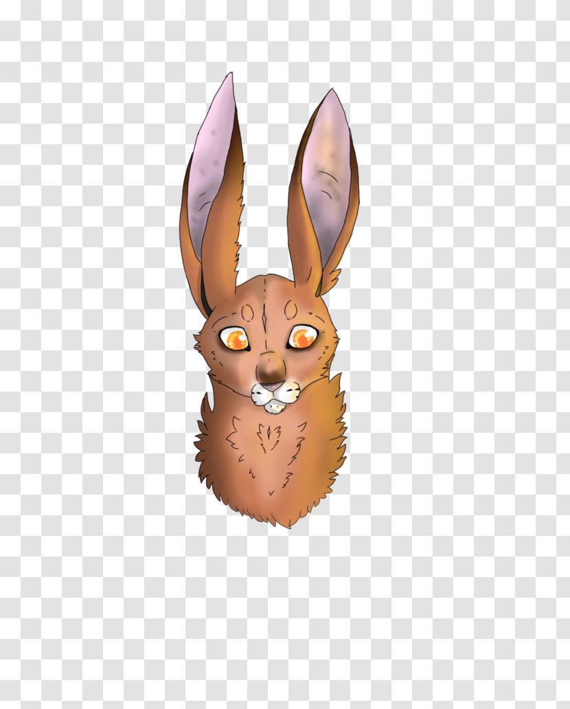 Domestic Rabbit Hare Tail - Rabits And Hares Transparent PNG