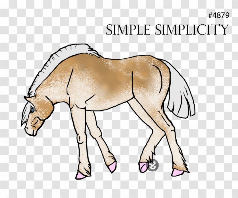 Mule Foal Pony Mustang Colt - Snout - Primitive Simplicity Transparent PNG