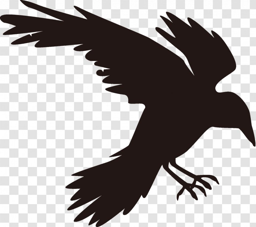 Raven Halloween Crow - Bird Of Prey - Golden Eagle Transparent PNG