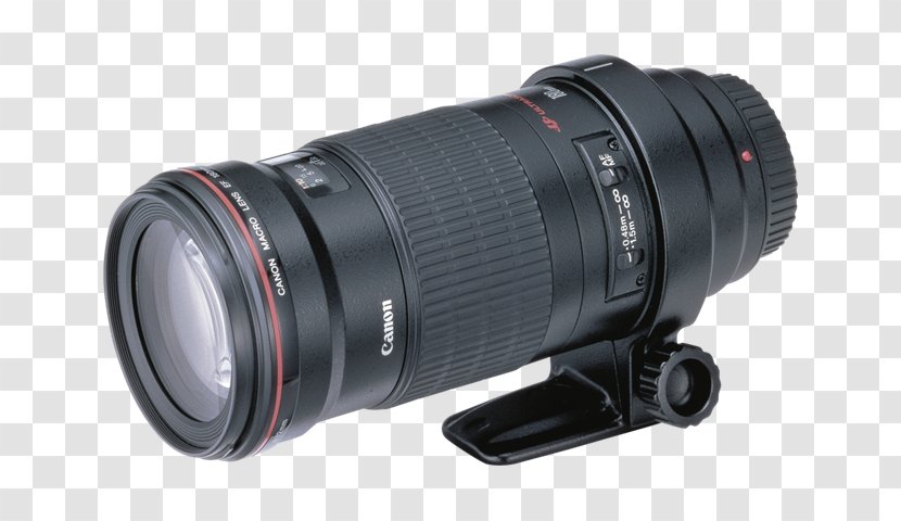 Canon EF Lens Mount 180mm F/3.5L Macro USM Camera Photography EF-S 60mm F/2.8 - Efs F28 Usm Transparent PNG