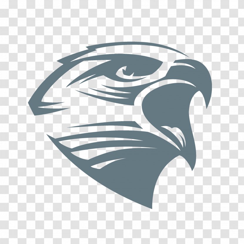 Bald Eagle Logo - Graphic Designer - Hawk Transparent PNG