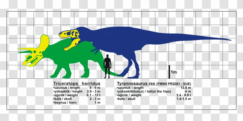 Tyrannosaurus Triceratops Spinosaurus Tarbosaurus Giganotosaurus - Theropods Transparent PNG