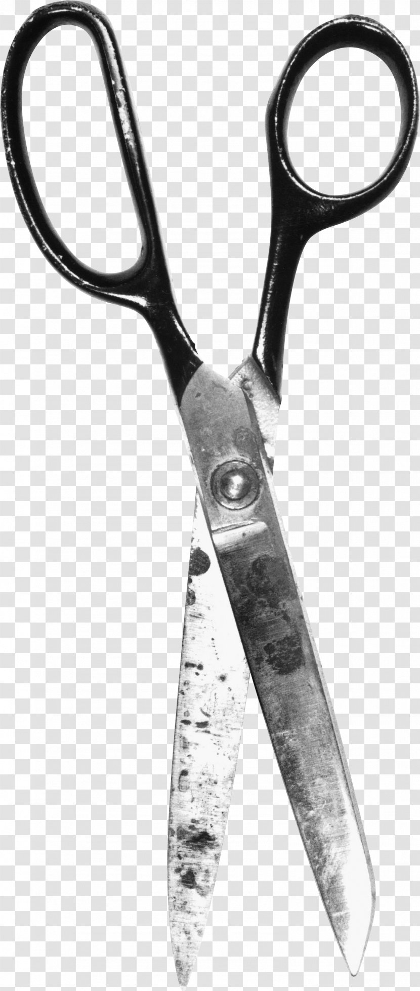Scissors Clip Art - Monochrome Photography - Image Transparent PNG