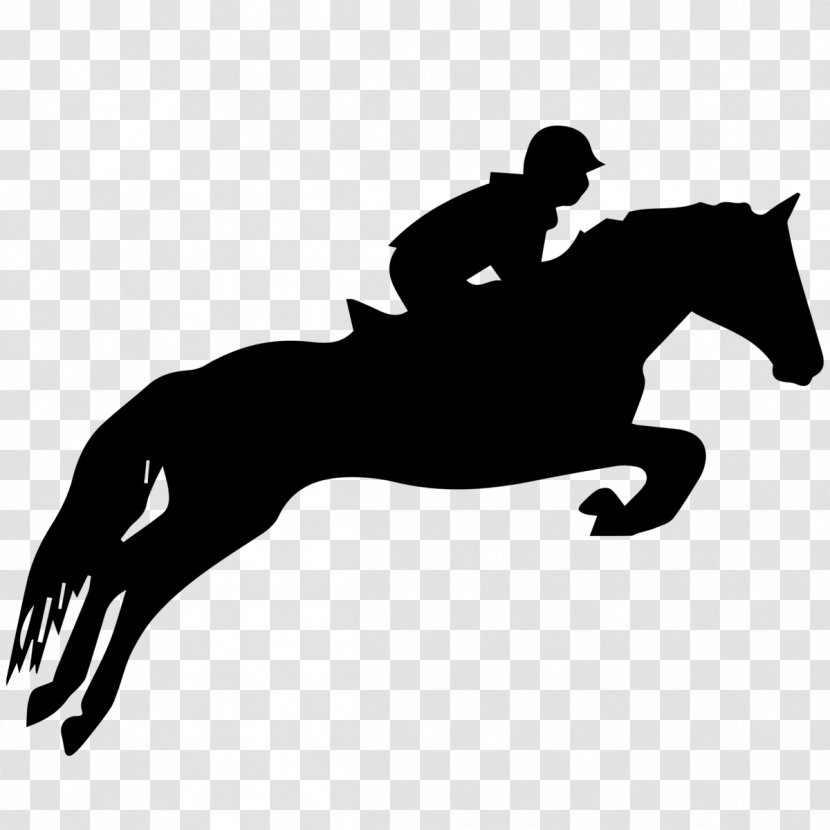 Horse Show Jumping Equestrian - Centre Transparent PNG