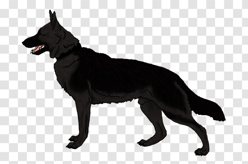 Dog Breed German Shepherd Karelian Bear Kunming Wolfdog Australian Kelpie - Puppy Transparent PNG