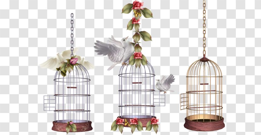 Birdcage Parrot - Bird - Pigeon Cage Transparent PNG
