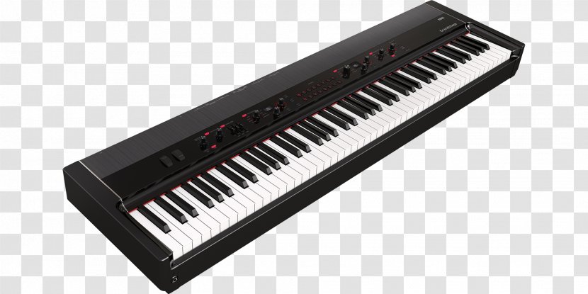 Korg Stage Piano Digital Action - Cartoon - Keyboard Transparent PNG