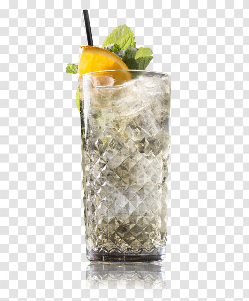 Mint Julep Gin And Tonic Cocktail Garnish Vodka Water Transparent PNG