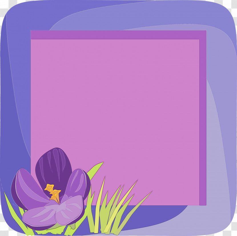 Picture Frame Transparent PNG