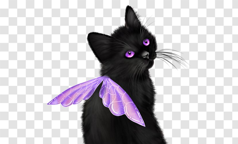 Kitten Black Cat Whiskers Domestic Short-haired - Snout Transparent PNG