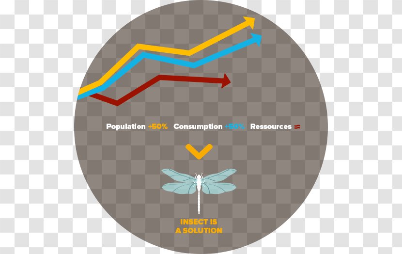 Line Angle Diagram - Organism Transparent PNG