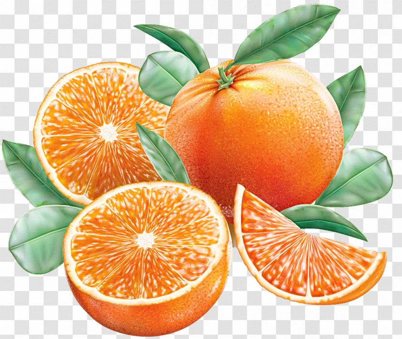 Orange Transparent PNG