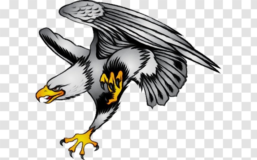 Eagle Drawing - Falconiformes - Animal Figure Peregrine Falcon Transparent PNG